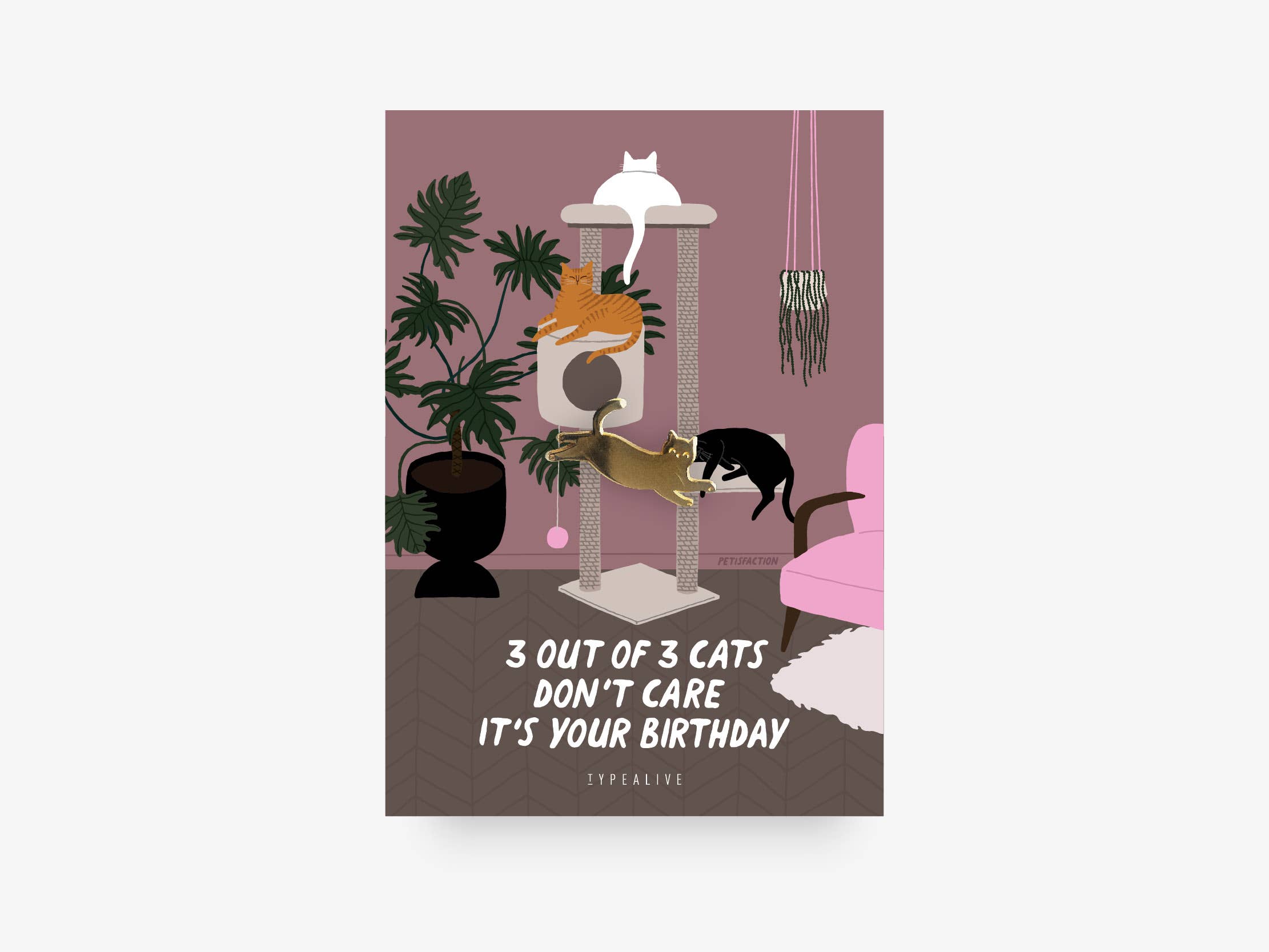 Pin / 3 cats