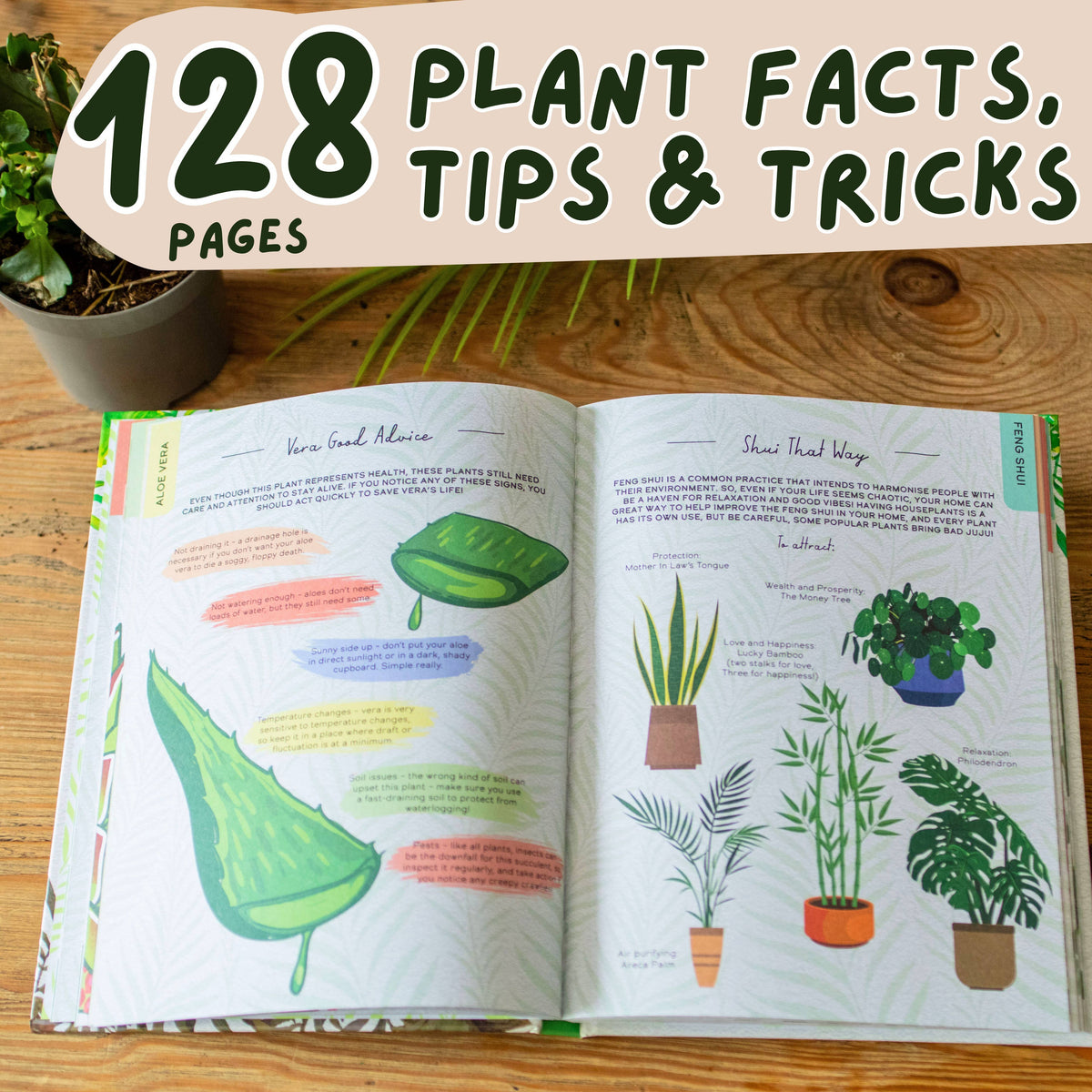 Please Don't Die - Houseplants Guide Book