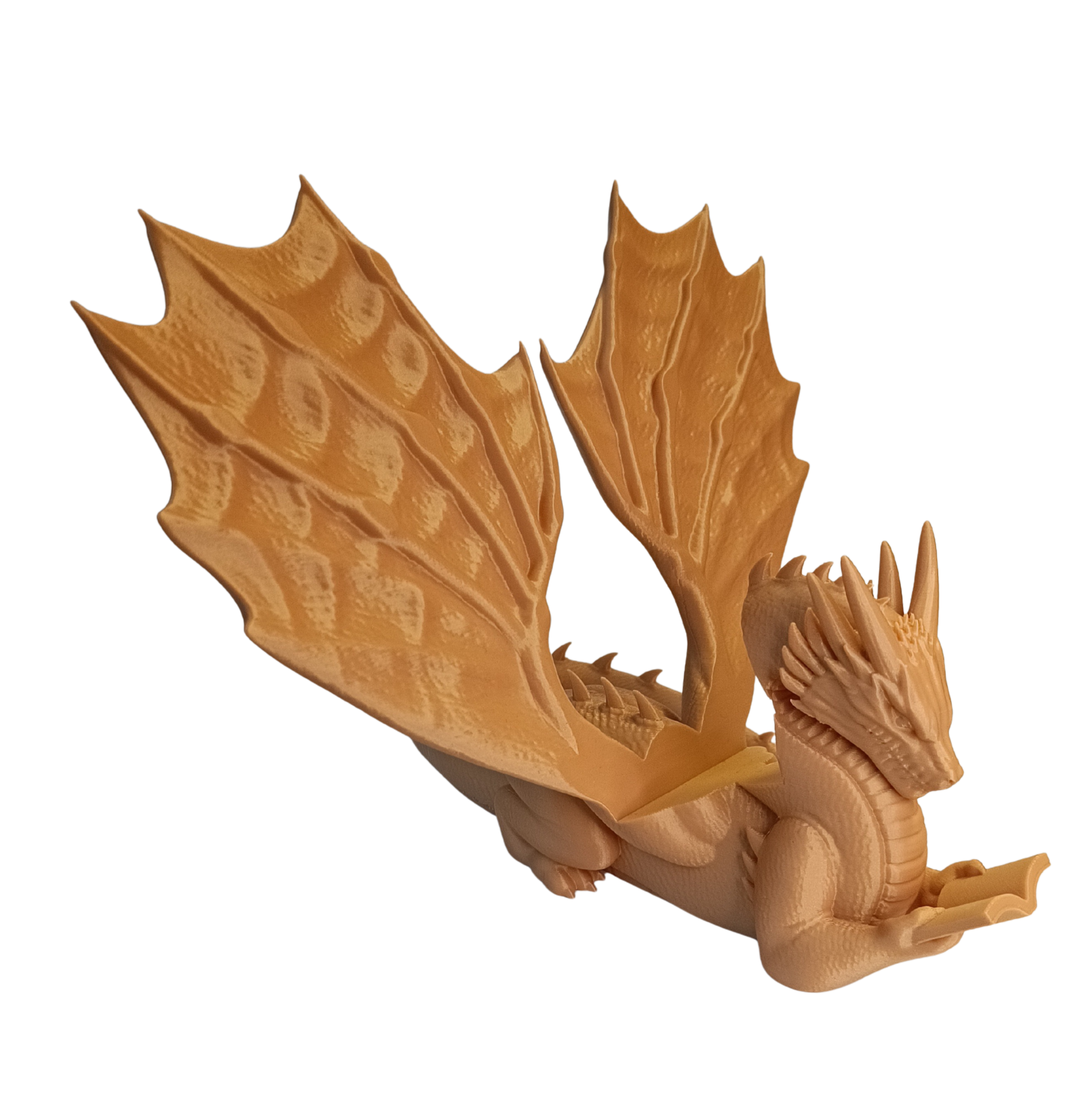 Drage-bokholder