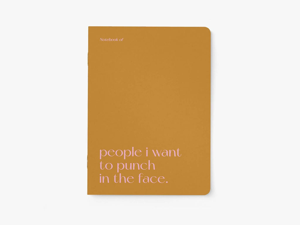 Journal/Punch In The Face