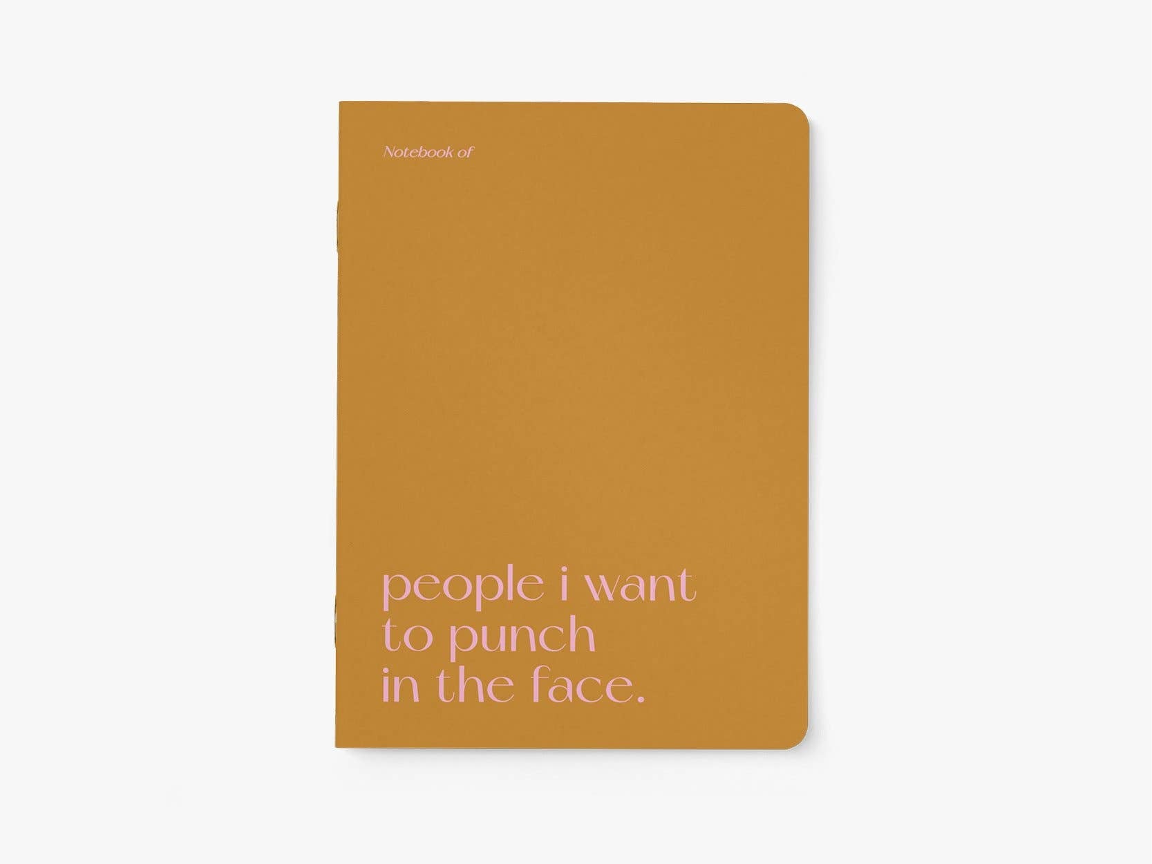 Journal/Punch In The Face