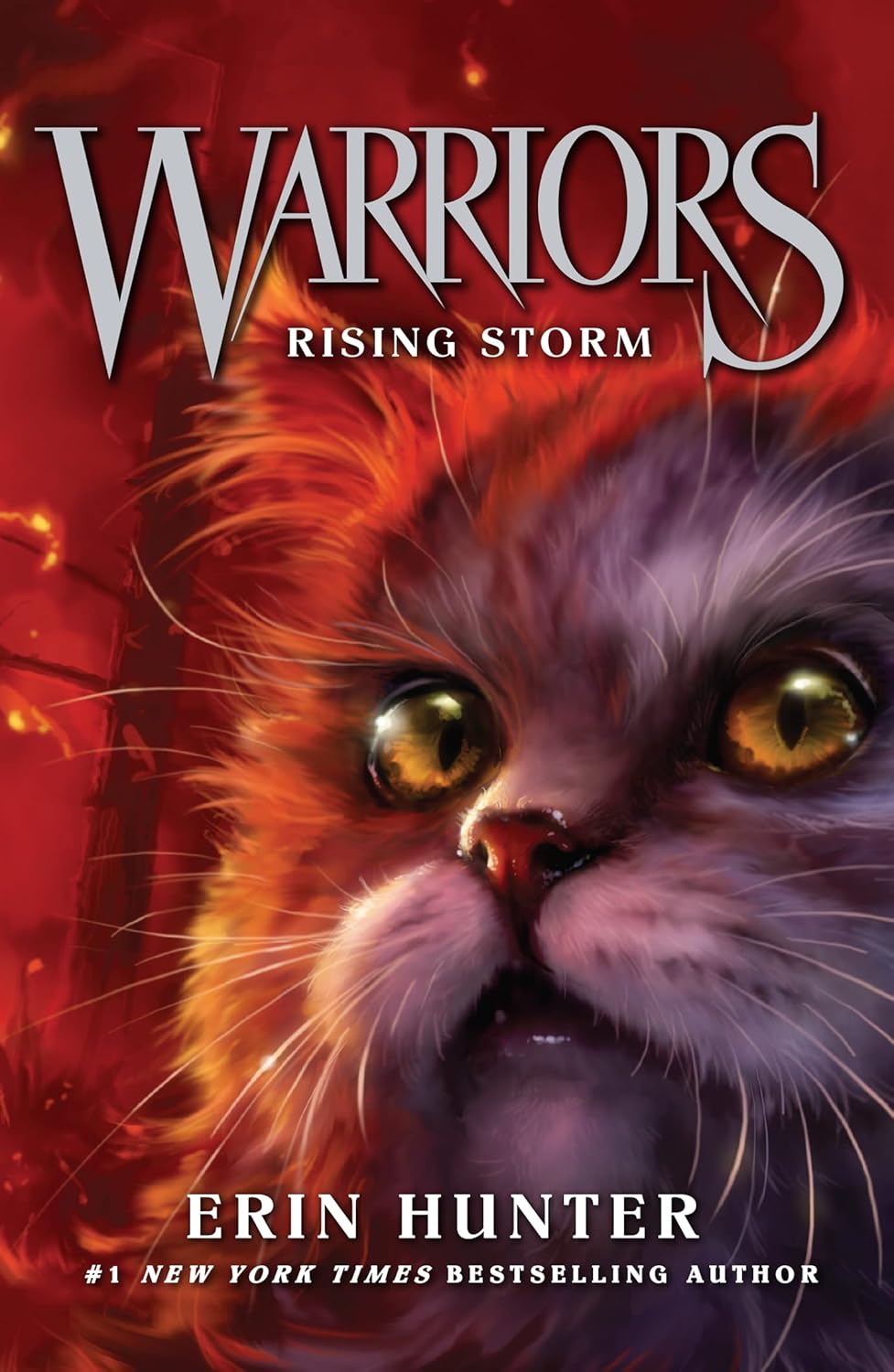 Warriors - Rising Storm #4