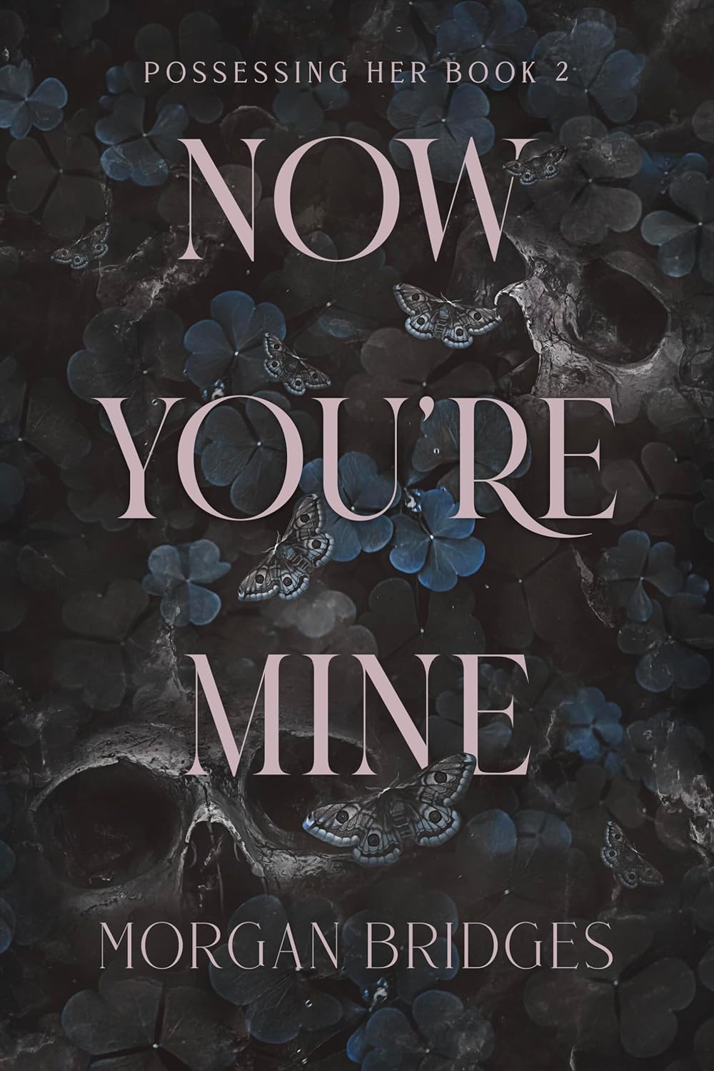 Now you're mine - Possessing her #2