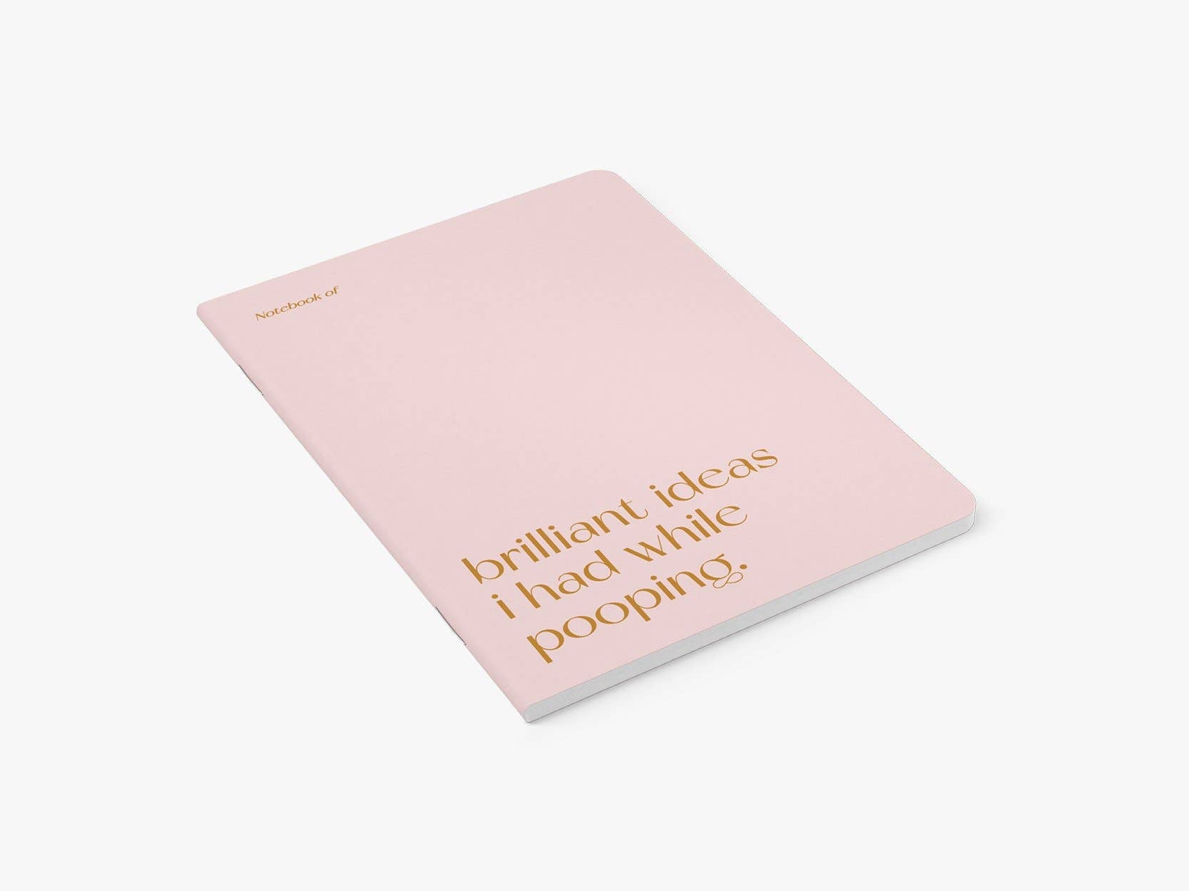 Journal/Brilliant Pooping