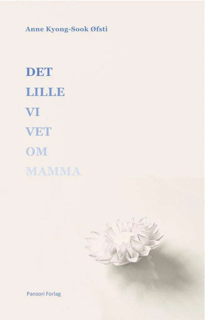 Det lille vi vet om mamma - Roman