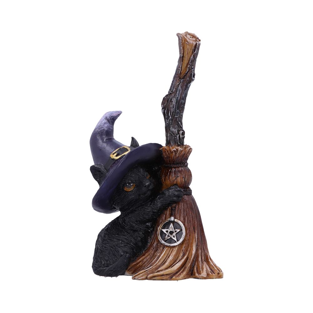 Familiars broom